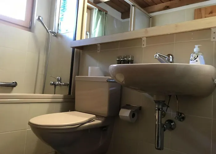 Casauma Gartmann Vattiz